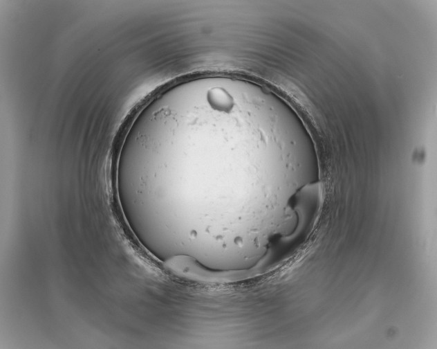 X0000096141030200802011206