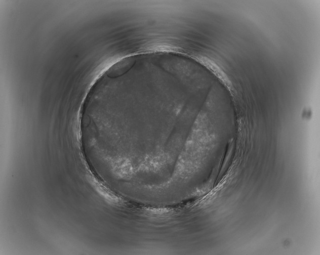X0000096141031200802011206