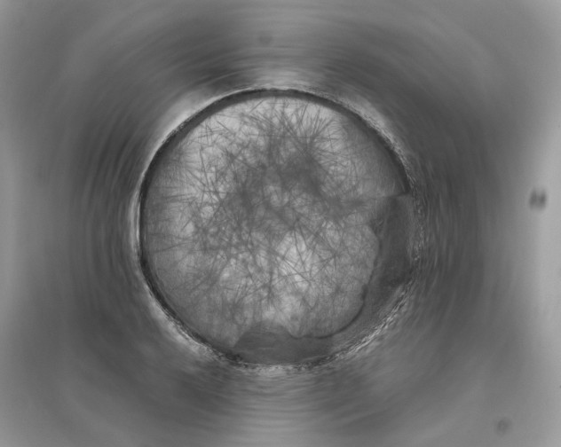 X0000096141032200802011206