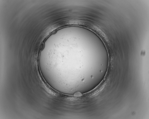 X0000096141033200802011206