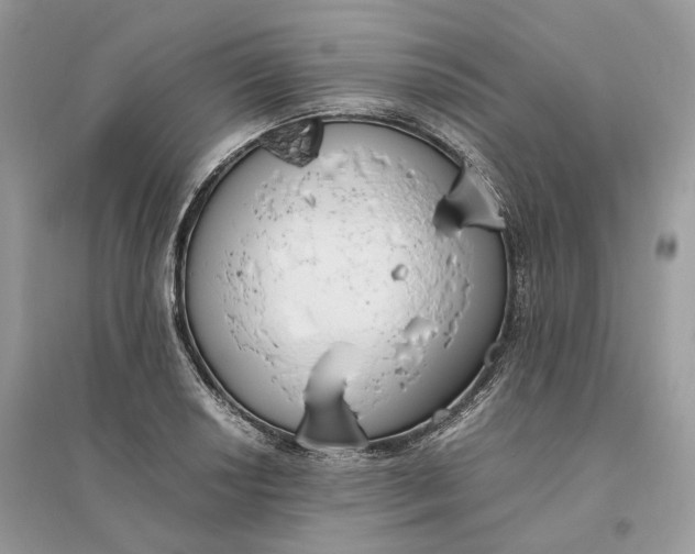 X0000096141034200802011206