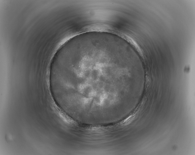 X0000096141035200802011206