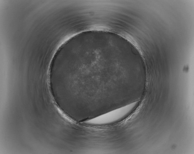 X0000096141037200802011206