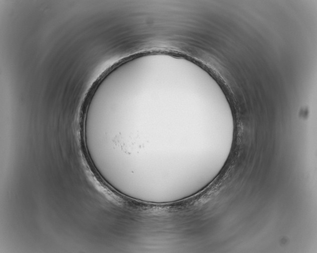 X0000096141038200802011206