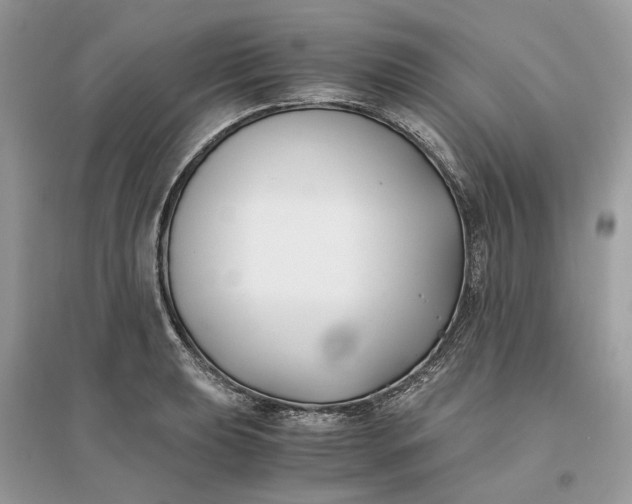 X0000096141039200802011206