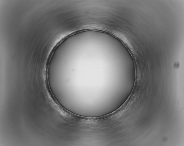 X0000096141040200802011206