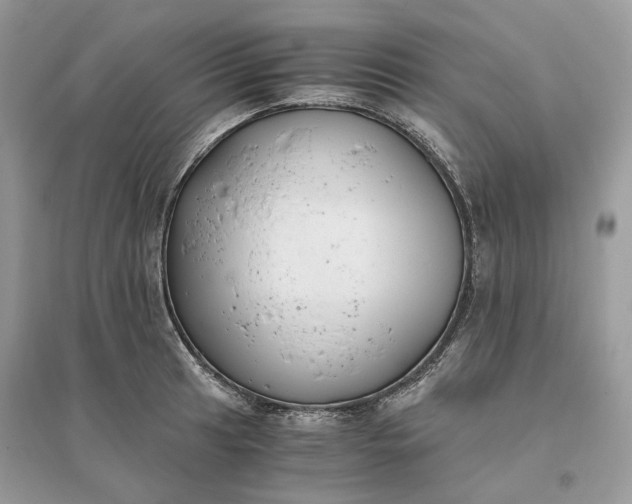 X0000096141041200802011206