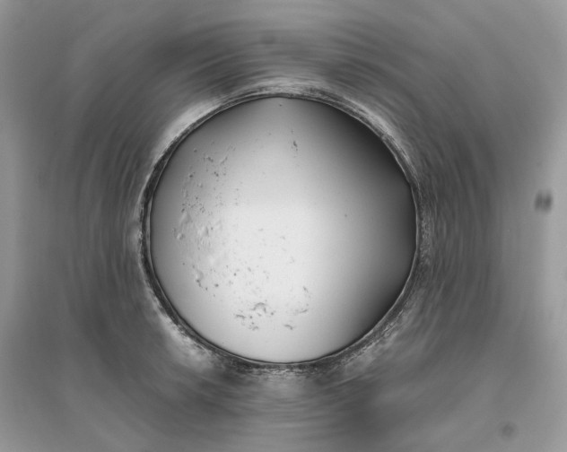 X0000096141042200802011206