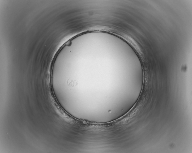 X0000096141044200802011206