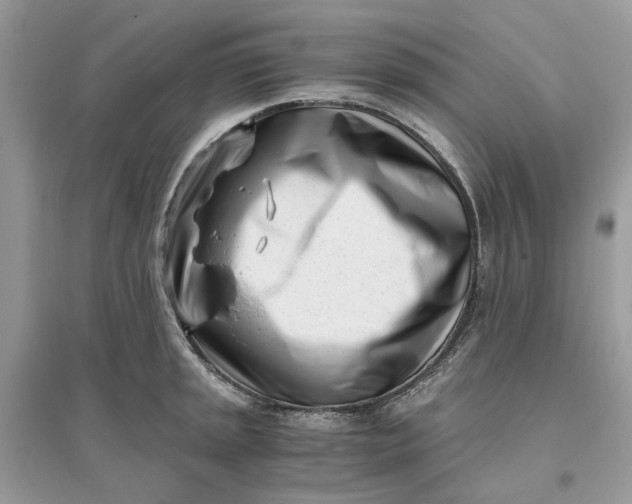 X0000096141045200802011206