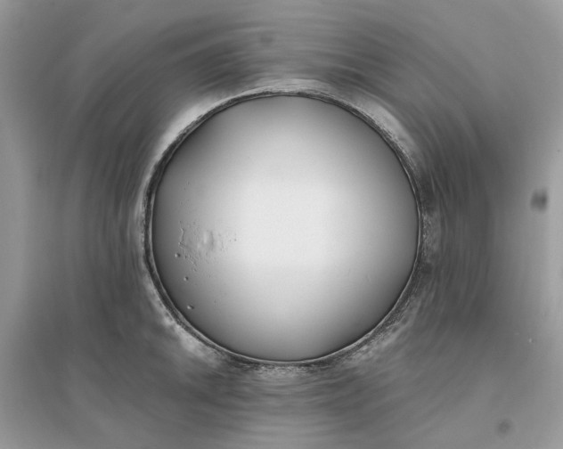 X0000096141046200802011206