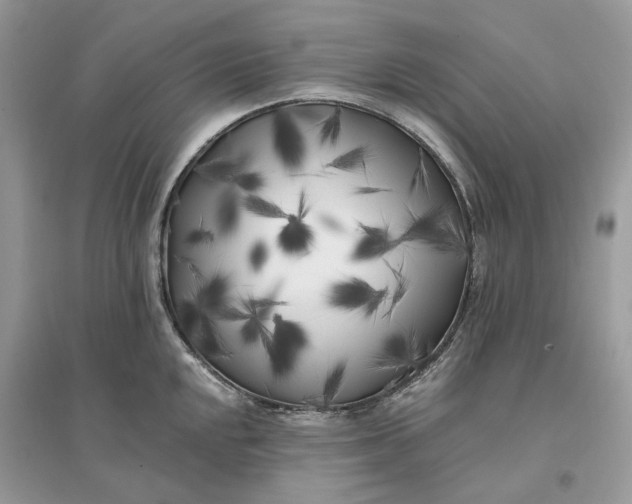 X0000096141048200802011206