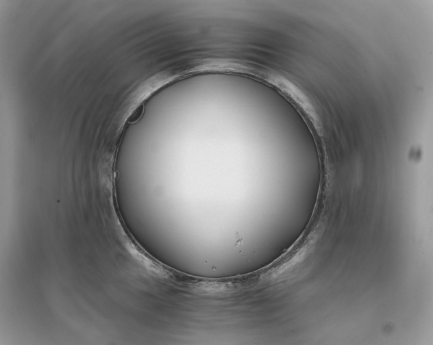 X0000096141049200802011206