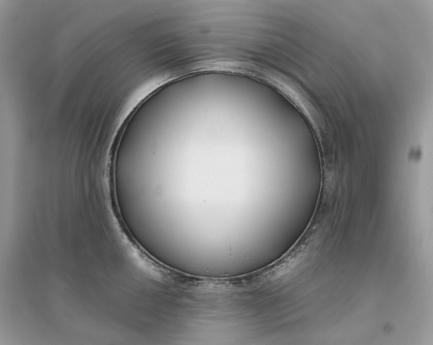 X0000096141050200802011206