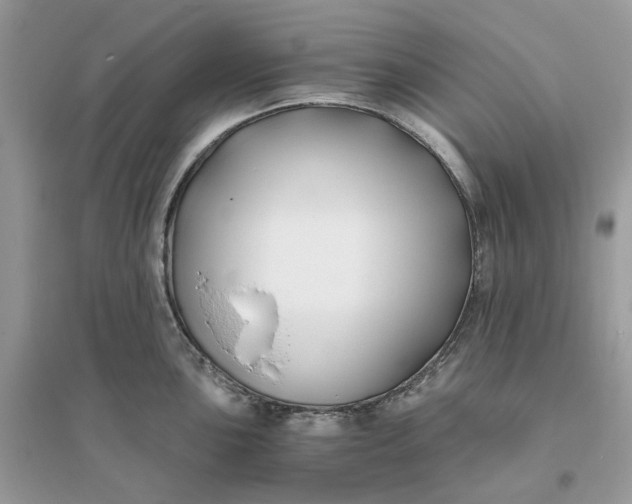 X0000096141051200802011206