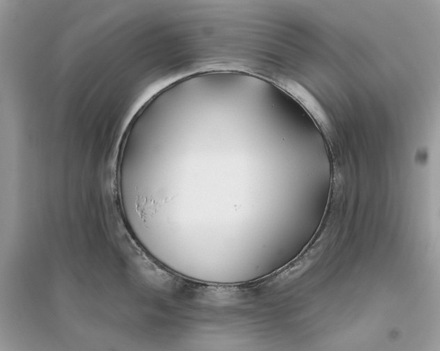 X0000096141052200802011206