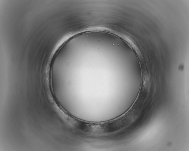 X0000096141054200802011206