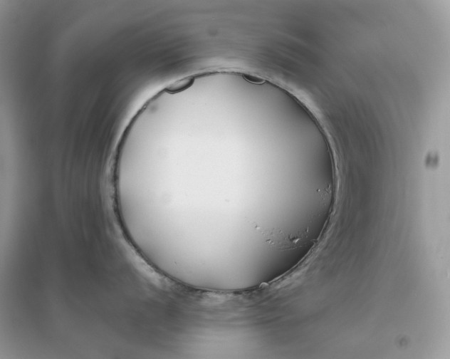 X0000096141056200802011206