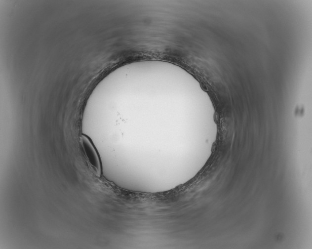 X0000096141057200802011206