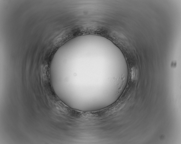 X0000096141059200802011206