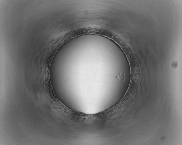 X0000096141061200802011206