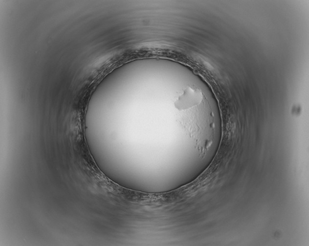 X0000096141062200802011206