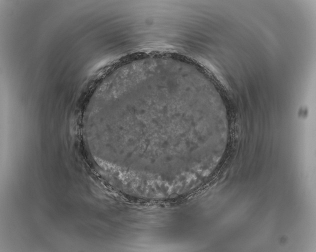 X0000096141063200802011205