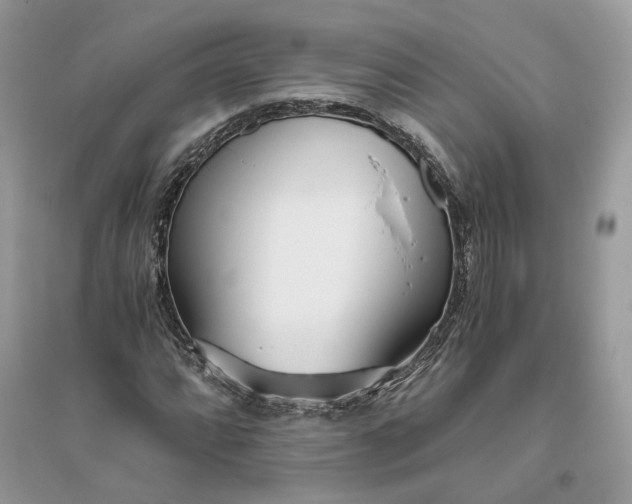 X0000096141064200802011205