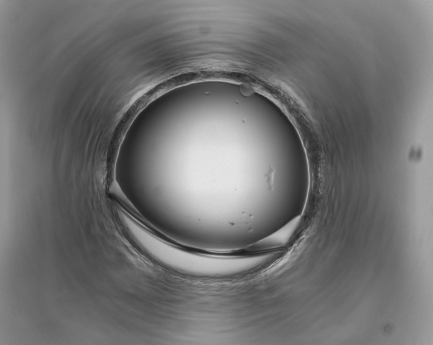 X0000096141065200802011205