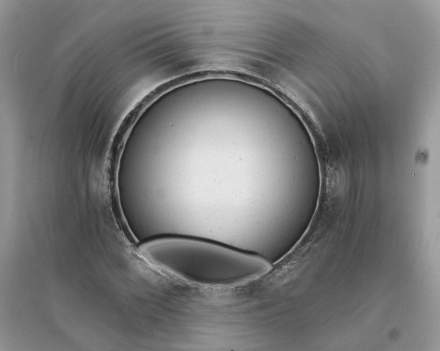 X0000096141068200802011205