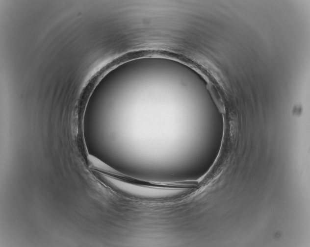 X0000096141069200802011205