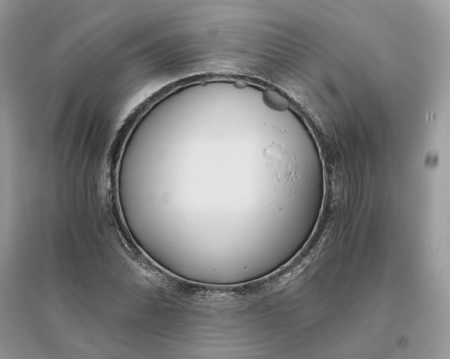 X0000096141070200802011205