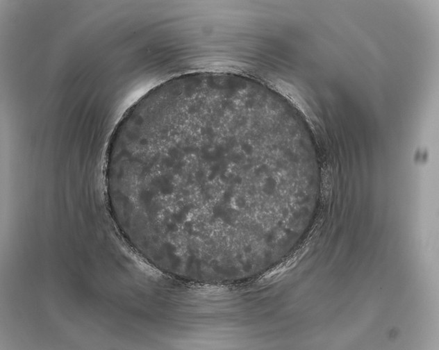 X0000096141071200802011205