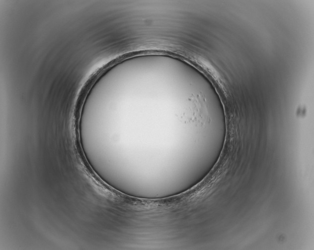 X0000096141072200802011205