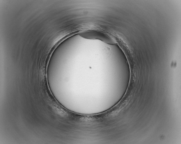 X0000096141073200802011205