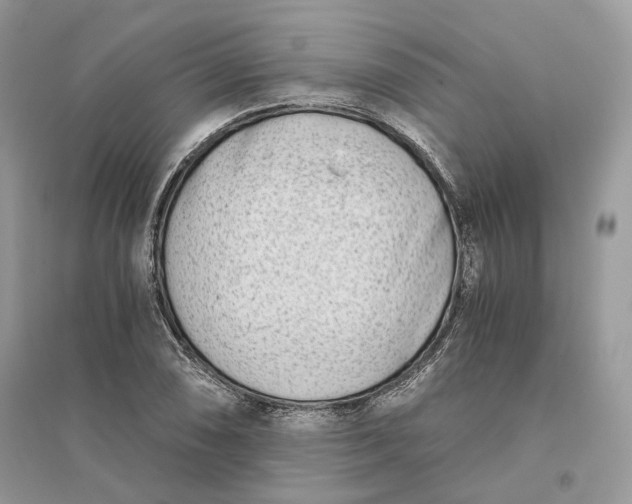 X0000096141074200802011205