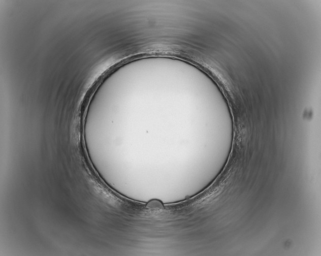 X0000096141075200802011205