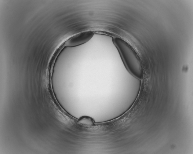 X0000096141076200802011205