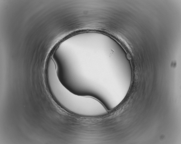 X0000096141077200802011205