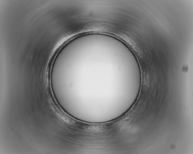 X0000096141078200802011205