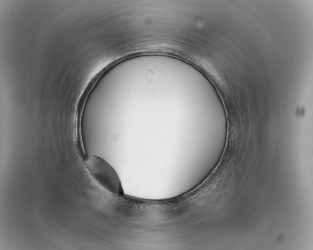 X0000096141079200802011205