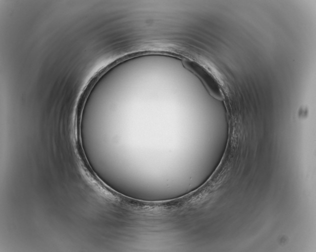 X0000096141080200802011205