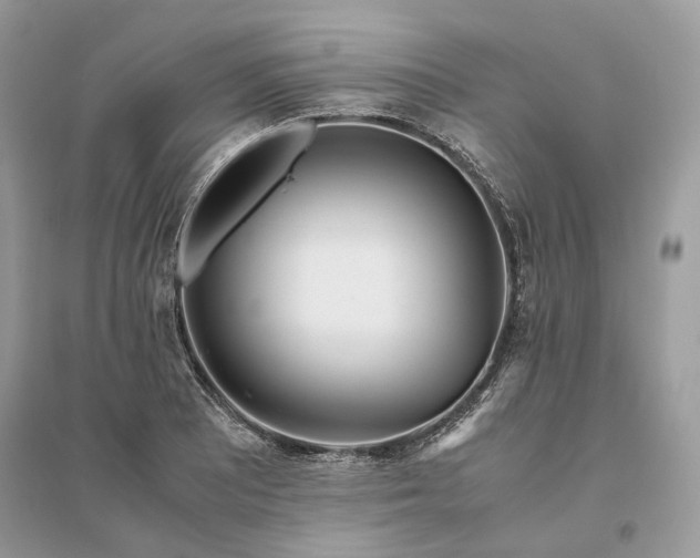 X0000096141081200802011205