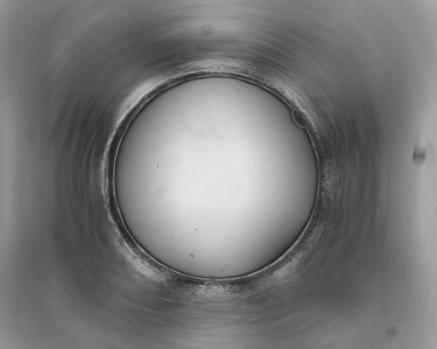 X0000096141082200802011205