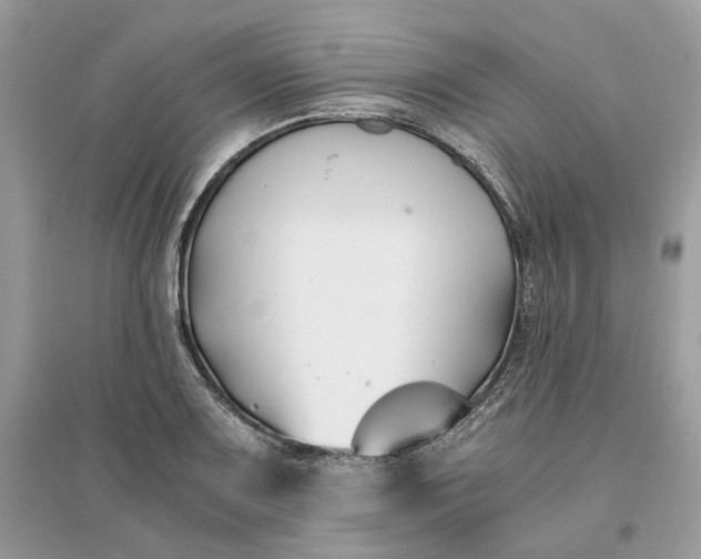 X0000096141083200802011205