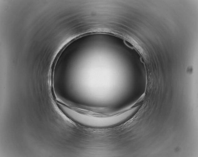 X0000096141084200802011205