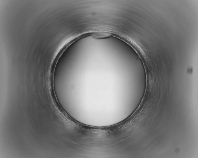 X0000096141085200802011205