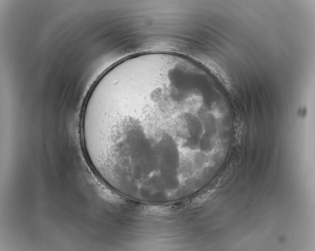 X0000096141086200802011205