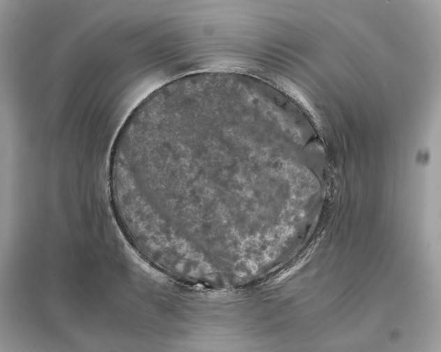X0000096141087200802011205