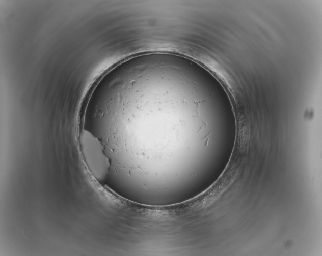 X0000096141088200802011205